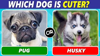 Which Dog is Your Favorite? (Dog Lover Edition)