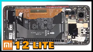 Xiaomi 12 Lite Disassembly Teardown Repair Video Review