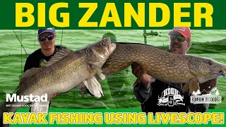 HUGE ZANDER - Kayak fishing and Livescope