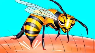 Вот почему пчелы жалят лишь один раз! РАЗГАДКА ТАЙНЫ ИХ ЗАЩИТНОГО ОРУЖИЯ