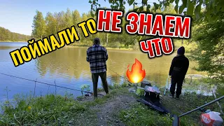 Поймали то, Не знаем что 😱  | 4K | #рыбалка #fishing #напоплавок #рыба #нарыбалке