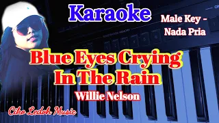 BLUE EYES CRYING IN THE RAIN_Willie Nelson_KARAOKE_Male Key