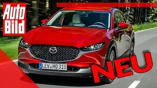 Mazda CX-30 (2019): Neuvorstellung - Kompakt-SUV - Infos
