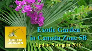 Exotic Garden Canada Update 9Aug2019 4K