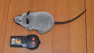 Мышь на радио управлении из Китая  Игрушка мышь с пультом управления из Китая