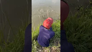 Amazing Fishing For Huge Snakehead