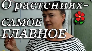 Главное, что нужно понимать и знать о растениях!