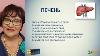 ПРО продукт | Международный директор Компании APL Нина Царикович о продукте HPR