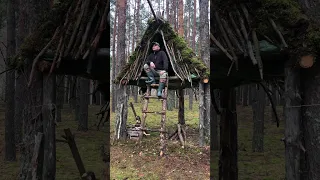 Building a tree house and a shelter in the woods #bushcraftua #wilderness #asmr