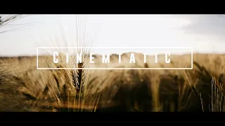 Sony Alpha 7 III Cinematic | So entsteht ein Kurzfilm im Kinolook [Equipment, Einstellungen, Post]