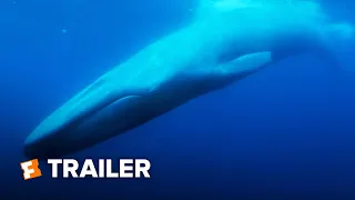 The Loneliest Whale Trailer #1 | Movieclips Indie