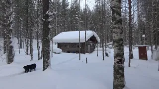 ОХОТА И РЫБАЛКА В ТАЙГЕ / Охота на куницу капканами / Жерлицы на налима и щук / Таежный быт