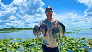 CATCHING HUGE SHELLCRACKER & BLUEGILL! LAKE KISSIMMEE #fishing