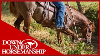 Clinton Anderson: How to Stop Your Horse From Tripping - Downunder Horsemanship