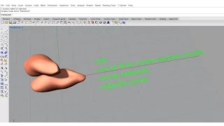 Rhino 3D CAD Technique # 6 - How to Build Organic Model in Rhino