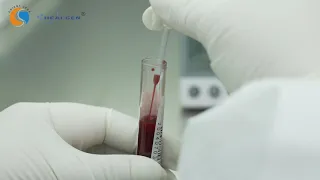 Healgen COVID 19 Antibody Test Instruction Video