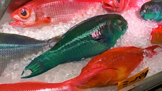 Японская еда Рыба зеленый попугай/Japanese food Fish green parrot