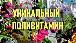 КРАПИВА - ЖГУЧИЙ ПОЛИВИТАМИН ДЛЯ БЫСТРОГО РАЗВИТИЯ ОРХИДЕЙ! РАСКОЧЕГАРЬ ЕЁ!  КОНЦЕНТРАТ ДЛЯ ОРХИДЕЙ👍