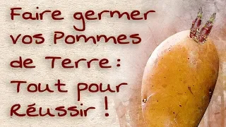 Faire germer vos pommes de terre : tout pour réussir !