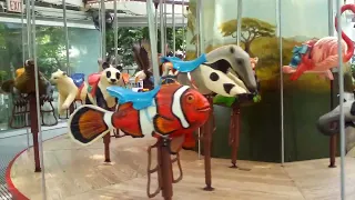 Me Riding The Carousel At Staten Island Zoo