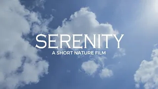 Serenity - A Short Nature Film