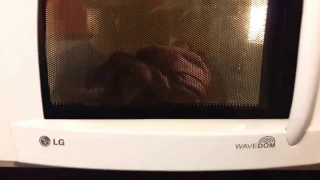 How to dry clothes in a microwave oven (subtitles)