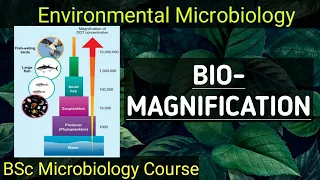 B.Sc-Microbiology (sem-3) Environmental Microbiology ||Biomagnification|| [Explained in Gujarati]