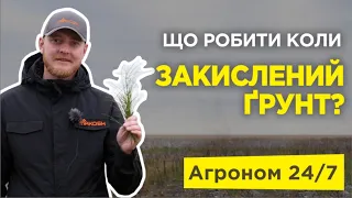 Що робити коли закислений ґрунт? Вапнування. Агроном 24/7