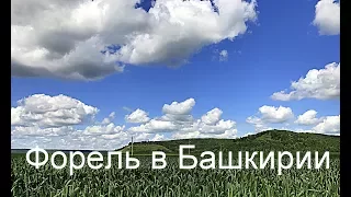 Небольшой фрагмент того, как я ловлю форель в Башкирии