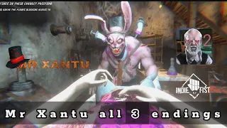 Mr Xantu all endings