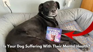 Existential Dogs #review #amazon #pets