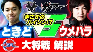 【SFL解説】新スタイルバイソン！？ときどVSウメハラをガチで解説してみた【スト5・カワノ】