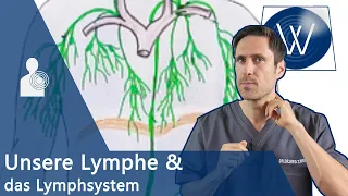 Unsere Lymphe: So bedeutsam ist die Lymphflüssigkeit - Störungen führen zu Lymphödem & dicken Beinen