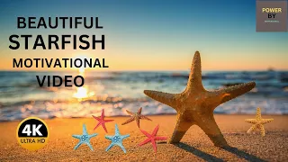 STARFISH || Beautiful Starfish Video || 2023