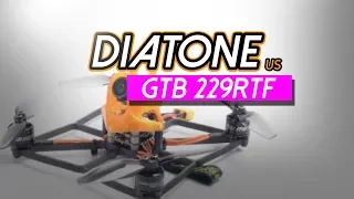 Diatone GTB229 - Best Toothpick of 2019?