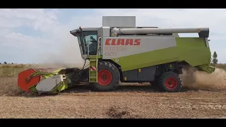 GRChocaj - Groch 2020 || Claas Lexion 450 || Fendt 718 Vario ||