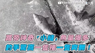 【路旁神奇「小縫」魚量爆多 釣手驚喜一隻接一隻爽翻！】｜那個釣魚頻道