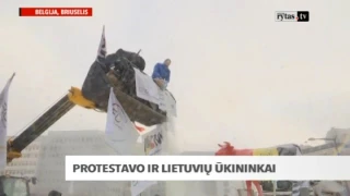 Lietuvos ir kitų ES šalių pieno gamintojai protestuoja Briuselyje