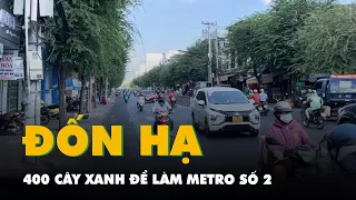 Hiện trạng hơn 400 cây xanh phải đốn hạ để làm metro số 2 ở TP.HCM