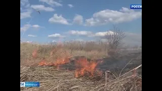 Аномальная погода в Липецкой области приводит к массовым пожарам - Россия Сегодня