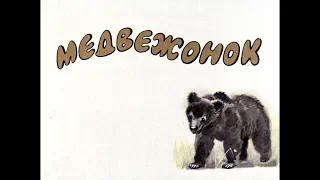 Диафильм Медвежонок