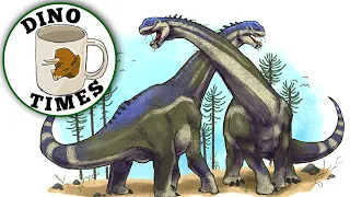 Exploring The Camarasaurus-Dino Times.