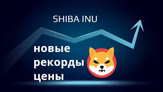 shiba inu скоро взрыв. Держатели shiba вы готовы? Shiba новости