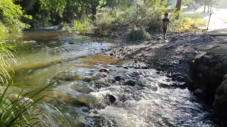 Morning creek
