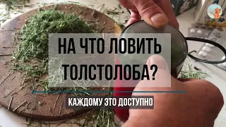 Элементарно просто. #Технопланктон из травы. #Поймать #толстолобика может каждый