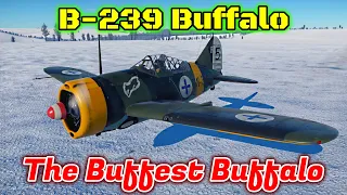 B-239 Buffalo - The Flying Finnish Flamethrower [War Thunder]
