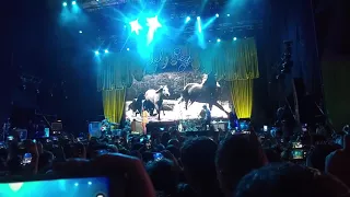 Lana Del Rey - White Mustang (Kraków Live Festival 19.08.2017)
