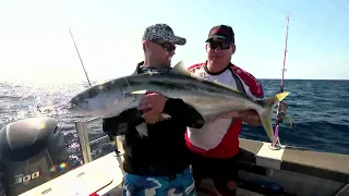 IFISH - BIG Kingies with Aussie Digger