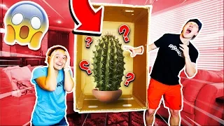 GIANT DEADLY WHAT'S IN THE BOX CHALLENGE!