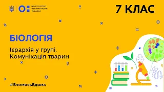 7 клас. Біологія. Ієрархія у групі. Комунікація тварин(Тиж.6:ЧТ)